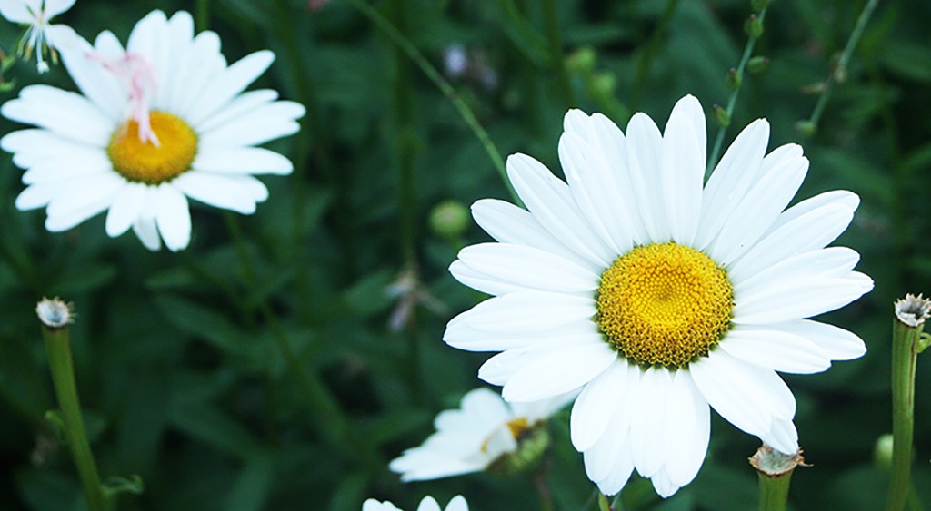 A First Time For&nbsp;Everything